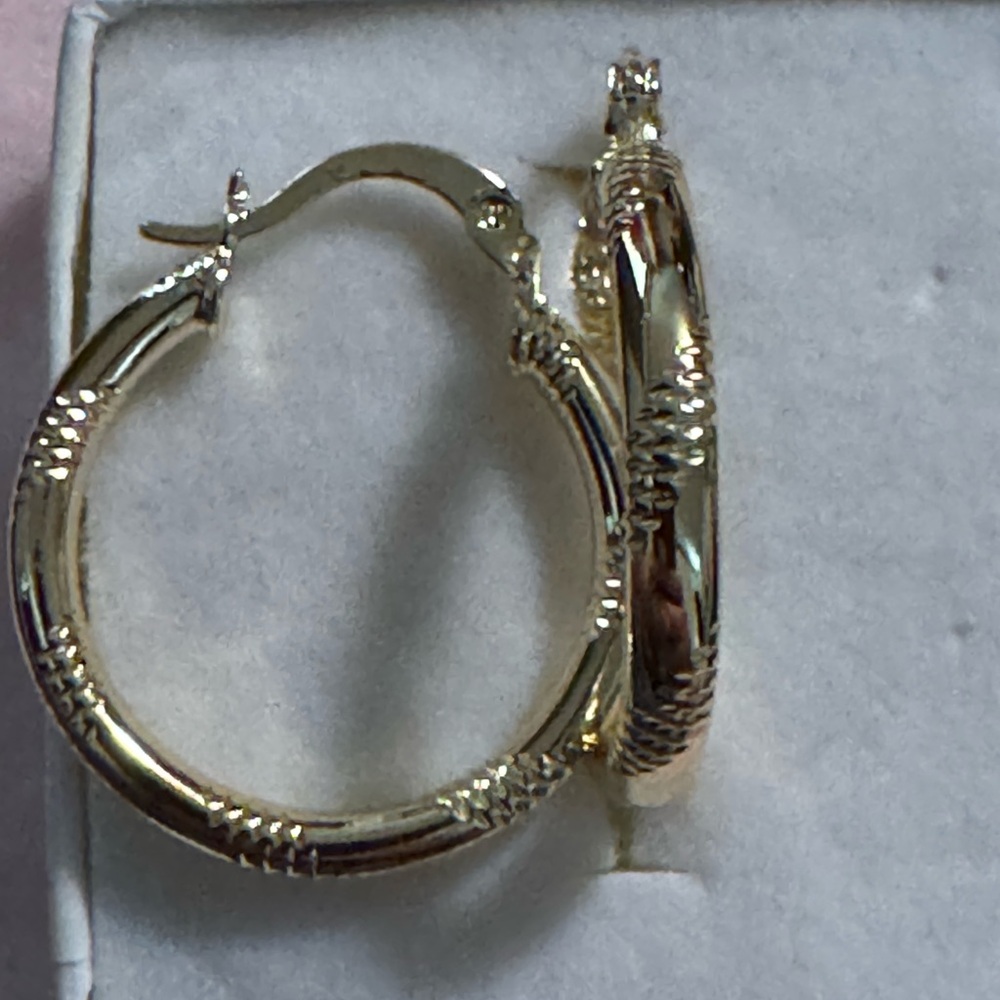 Elegant Gold Hoop Earrings